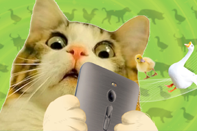 FRIDAY专栏 | 被憋疯的职场人，养起了猪牛羊鱼鸟...